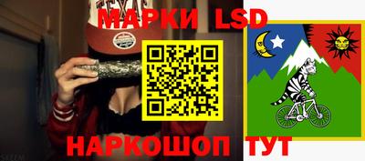 спайс Гатчина