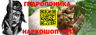 бошки Гагарин