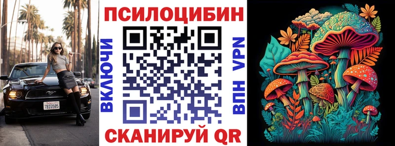 Галлюциногенные грибы Magic Shrooms  omg ссылка  Камышлов  купить  сайты 